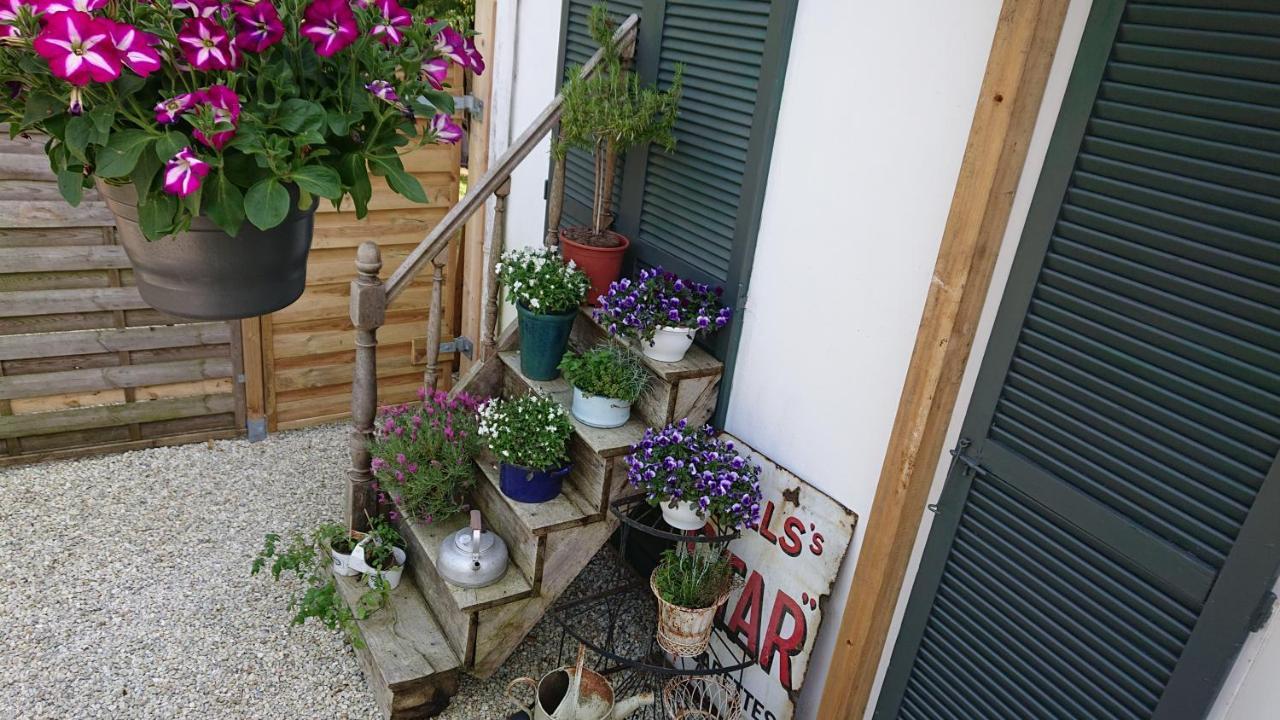 Le Black Dog Pub * Saint-Aignan (Morbihan)